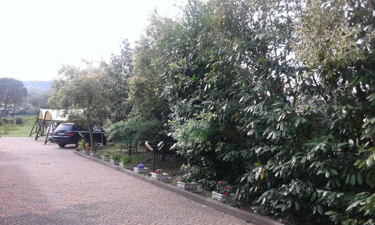 Le Palme Bed and Breakfast Chieti Buitenkant foto